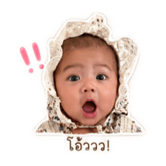 Bowwww_20260427191331