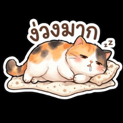 Chubby Cat meme