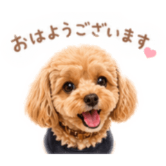 mika Atelier_20260428211011