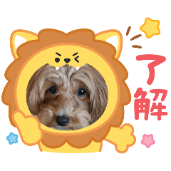 Daikiti kabushima_20260428211842