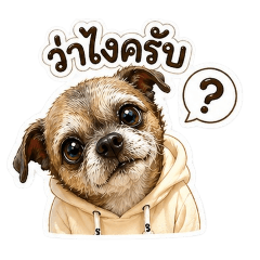 nimo_20260428194133