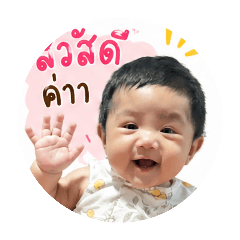 Nabdao_20260427192524