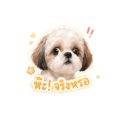 LittleoneOlive