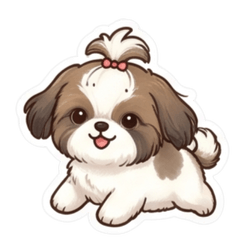 可愛西施犬日常貼圖
