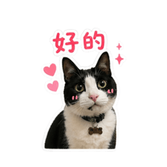 牛奶日常用語回答