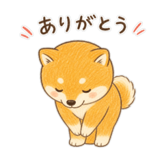 toitoi_20260428204806