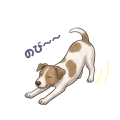 OLY OLY OLY OH!_20260428205045