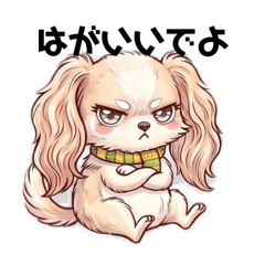 mona&azu_20260428210944