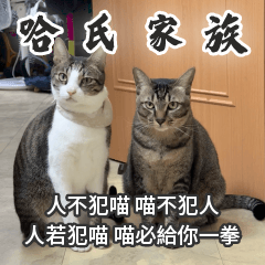 哈式家族之開篇（話很多版）