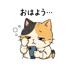 Barely Surviving Office Cat