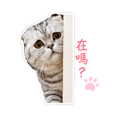 可愛喵喵～