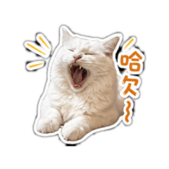 嚕阿嚕