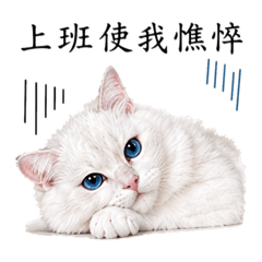 寶寶今天也不想努力