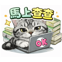 Ok與海恩喵日常