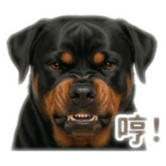 搞笑Boss （2