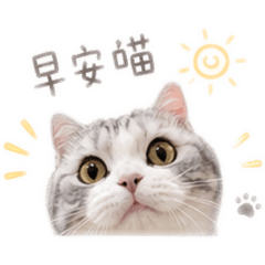 布萊恩生活用語