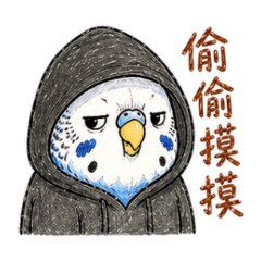 虎皮啾啾的小啾啾