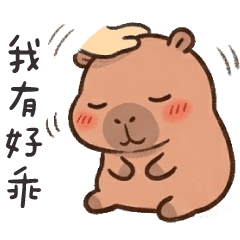 水豚肉咪❤️我有好乖唷