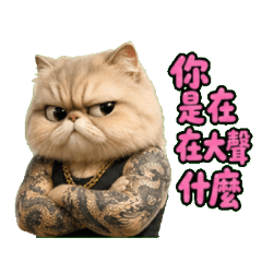 江湖 89 義氣仔貓：氣口要穩之霸氣日常