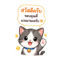 let chat.