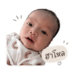 MILDMINT_20260427200152