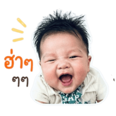 Wirinya_20260427200223