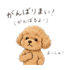 mayuko_20260428212455