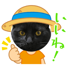 harukakino_20260428212644