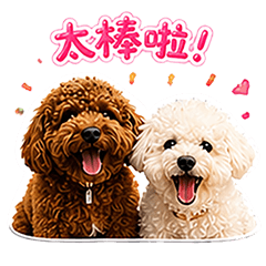 比比與米米的日常生活