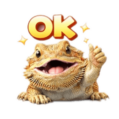Cutey Bearded Dragon