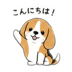 usokapa_20260428213431