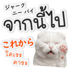 日タイ：時間表現スピーキング練習 #1