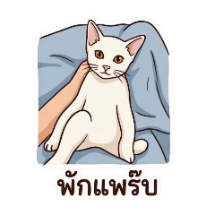 nanon_20260427201119