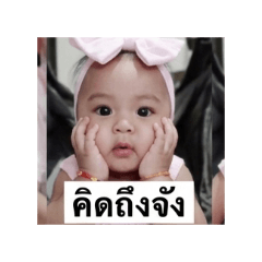 Punch_20260427201732