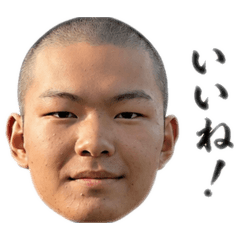 harutoo_20260428213906