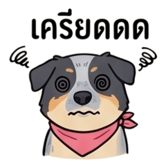 NongOuan V.1