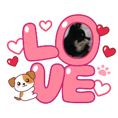 HIMARI_20260428214008