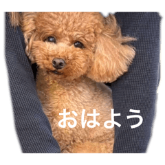 Moomoo_20260428214907