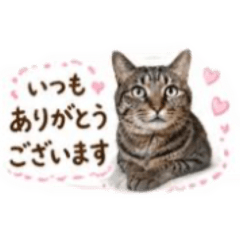 kuro_20260428214037