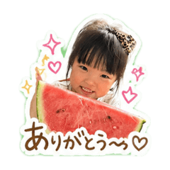 apricot_20260428214702