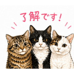 Catsmam_20260428215242