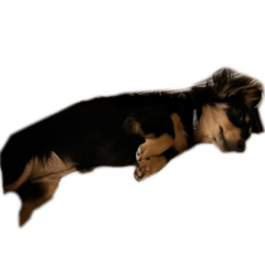 rinachan_20260428214520