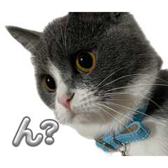 Hazuki_20260428215540