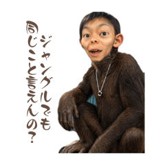 gonco_20260423212742