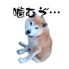Bu.chan_20260423213813
