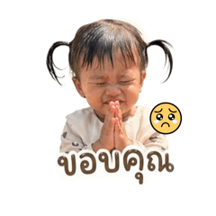 Koya_20260427202022
