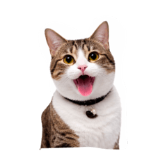 Tipsuda tongmai_20260427202227