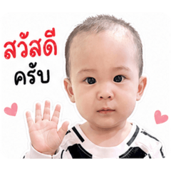 Shearer_20260427202138