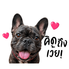 Love my Dog ._20260427202211