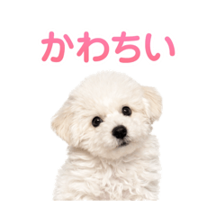 8131_20260428220453